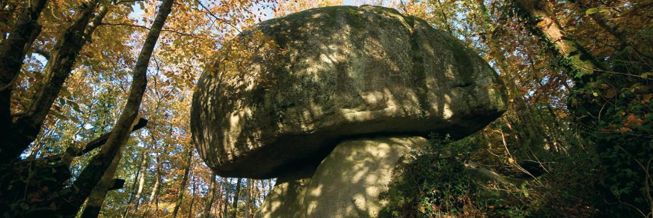 Chambre D'Hotes De La Roche Tremblante Юельґоа Екстер'єр фото