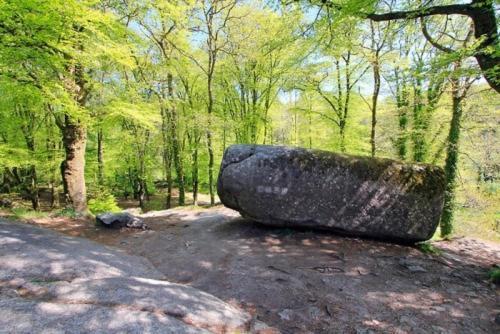 Chambre D'Hotes De La Roche Tremblante Юельґоа Екстер'єр фото